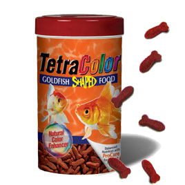 Tetra Color Shaped Goldfish - Acuariofilia Ecuador